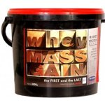 Megabol Whey Mass Gain 3000 g – Zboží Mobilmania