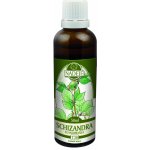 Naděje Podhorná Schizandra Klanopraška čínská tinktura 50 ml – Hledejceny.cz