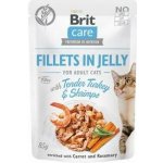 Brit Care Cat Fillets in Jelly Turkey&Shrimps 85 g – Sleviste.cz