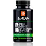 Siberian Wellness Fitness Catalyst. Glucosamine and Chondroitin 120 tablet – Hledejceny.cz