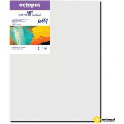 Octopus Hobby malířské plátno 45 x 60 cm 280 g/m2 – Zboží Dáma