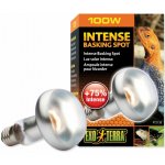 Hagen Exo Terra Intense Basking Spot 100 W – Hledejceny.cz