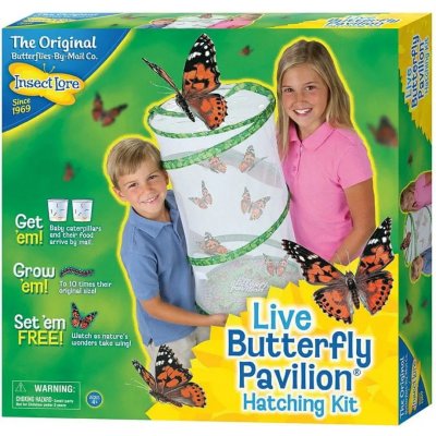 Insect Lore Velká motýlí zahrádka 10 housenek Butterfly Garden – Zboží Mobilmania