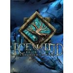 Icewind Dale (Enhanced Edition) – Hledejceny.cz