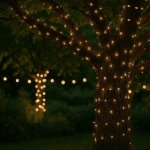Solight WL919 – Hledejceny.cz
