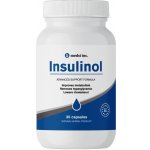 Insulinol kapsle 30 kapslí – Hledejceny.cz