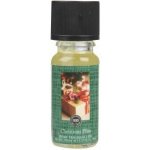 Bridgewater Candle Company Christmas Bliss Vonný olej do aromalampy 10 ml – Zbozi.Blesk.cz