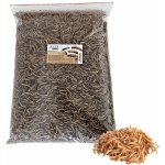 JUKO Mouční červi sáček 1 kg – Zbozi.Blesk.cz