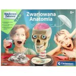 Clementoni Výuková sada Anatomy – Hledejceny.cz