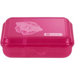 Hama krabička na svačinu Step by Step Motýl – Zboží Dáma