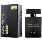 Magnetifico Power Of Pheromones Pheromone Selection For Man 100ml – Zboží Dáma