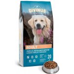 Divinus Adult Dospělý 20 kg – Hledejceny.cz