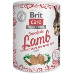 Brit Care Cat Snack Superfruits Lamb 100 g – Sleviste.cz