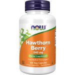 Now Foods Foods Hloh Hawthorn Berry 540 mg 100 kapslí – Hledejceny.cz