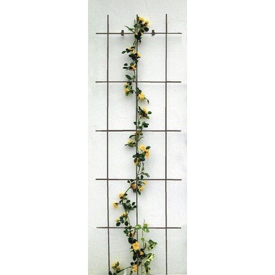 Mříž na popínavé rostliny kovová 45 x 150 cm hnědá – Hledejceny.cz