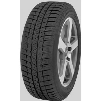 Falken EuroWinter HS449 205/65 R15 94T