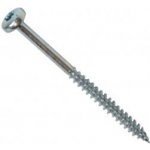 Vrut s půlkulatou hlavou, TORX drážka, část.závit, zinek bílý 5 x 100/60 TRX25, balení 200 ks – Hledejceny.cz