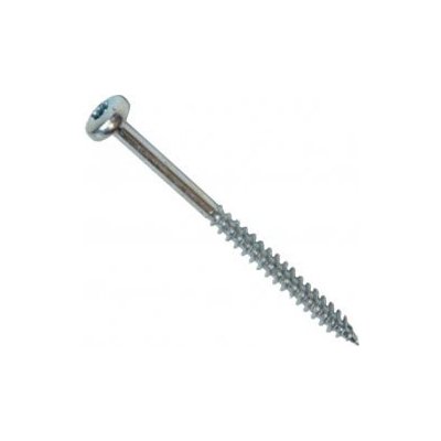 Vrut s půlkulatou hlavou, TORX drážka, část.závit, zinek bílý 5 x 100/60 TRX25, balení 200 ks – Hledejceny.cz