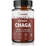 Blendea Chaga Extrakt kapsle s antioxidačním účinkem 60 kapslí – Hledejceny.cz