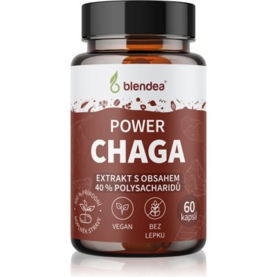 Blendea Chaga Extrakt kapsle s antioxidačním účinkem 60 kapslí – Hledejceny.cz