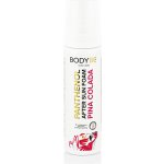 BODYBE 10% PANTHENOL Pěna po opalování Piña Colada 200 ml – Hledejceny.cz
