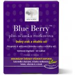 New Nordic Blue Berry 120 tablet – Hledejceny.cz