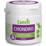 Canvit Chondro 100 g – Zbozi.Blesk.cz