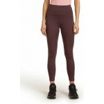 ICEBREAKER Wmns Mer 260 Fastray II 25 High Rise Tights, Dusty Clay – Zboží Mobilmania