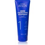 Tomas Arsov intensive hydrating šampon 250 ml – Hledejceny.cz