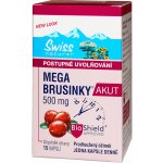 Swiss NatureVia Mega brusinky Akut 15 kapslí – Hledejceny.cz