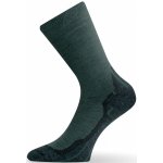 Lasting WHI-620 merino ponožky zelené – Hledejceny.cz