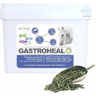 DROMY GastroHeal krmivo pro koně s žaludečními vředy 3 kg – Hledejceny.cz