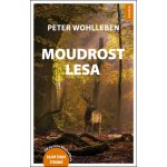 Moudrost lesa - Peter Wohlleben – Zbozi.Blesk.cz