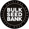 Semena konopí Bulk Seed Bank Extra Mintz semena neobsahují THC 500 ks