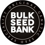 Bulk Seed Bank AUTO Bigger Bud semena neobsahují THC 5 ks – Zboží Mobilmania