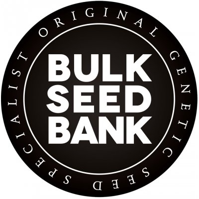 Bulk Seed Bank Auto Bigger Bud semena neobsahují THC 5 ks – Zboží Mobilmania