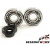 BEARING WORX ložiska klikové hřídele s těsněním HONDA CR 125 79-07 (NTN) vyrobeno v Japonsku (24-1003)=CBK30010
