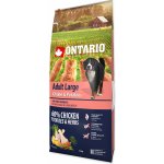 Ontario Adult Large Chicken & Potatoes 2 x 12 kg – Hledejceny.cz