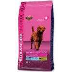 Eukanuba Adult Large Breed 2 x 15 kg – Hledejceny.cz