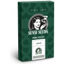 Sensi Seeds Silver Haze semena neobsahují THC 10 ks