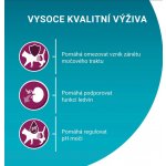 Purina ONE Bifensis Urinary Care s kuřecím a pšenicí 0,8 kg – Sleviste.cz