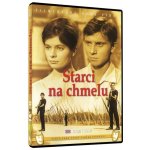 starci na chmelu DVD – Hledejceny.cz