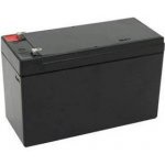 Baterie pro Peg Perego 12V 9Ah | Zboží Auto