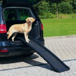 Trixie Pet ramp protiskluzová rampa max. zátěž 90 kg 40 x 156 cm – Sleviste.cz