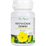 Dr. Popov Kotvičník zemní bylina + extrakt 60 kapslí – Hledejceny.cz