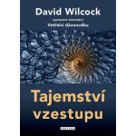 Tajemství vzestupu - Wilcock David – Sleviste.cz