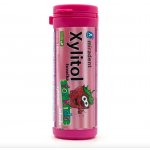 Miradent Xylitol DĚTSKÉ žvýkačky JAHODA 30 ks – Sleviste.cz