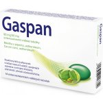 GASPAN POR 90MG/50MG CPS ETM 14 – Zboží Mobilmania