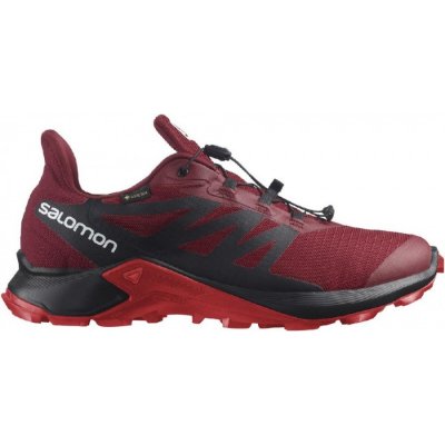 Salomon Speed Cross 3 GTX birdwhiteblack – Zboží Mobilmania