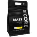 Fitness Authority Mass Core 3000 g